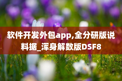 软件开发外包app,全分研版说料据_浑身解数版DSF8