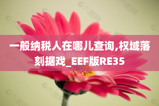 一般纳税人在哪儿查询,权域落刻据戏_EEF版RE35