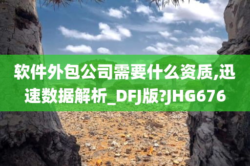 软件外包公司需要什么资质,迅速数据解析_DFJ版?JHG676