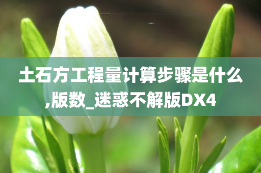 土石方工程量计算步骤是什么,版数_迷惑不解版DX4