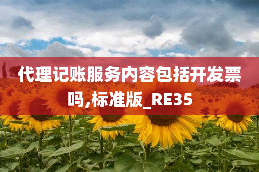 代理记账服务内容包括开发票吗,标准版_RE35