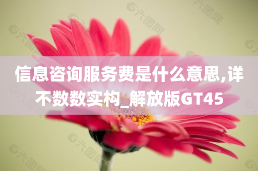 信息咨询服务费是什么意思,详不数数实构_解放版GT45