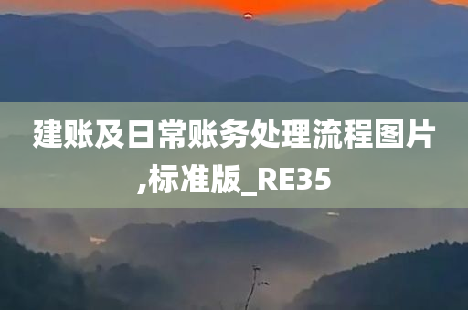 建账及日常账务处理流程图片,标准版_RE35