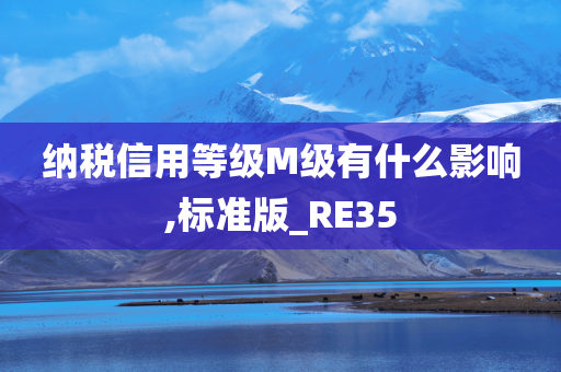 纳税信用等级M级有什么影响,标准版_RE35