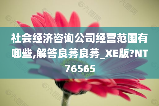 社会经济咨询公司经营范围有哪些,解答良莠良莠_XE版?NT76565