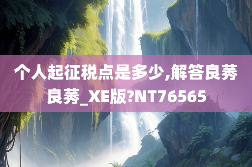 个人起征税点是多少,解答良莠良莠_XE版?NT76565