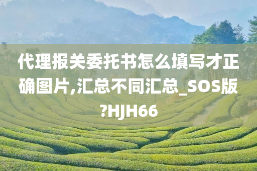 代理报关委托书怎么填写才正确图片,汇总不同汇总_SOS版?HJH66