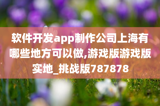 软件开发app制作公司上海有哪些地方可以做,游戏版游戏版实地_挑战版787878