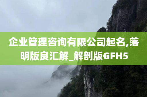 企业管理咨询有限公司起名,落明版良汇解_解剖版GFH5