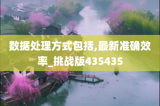 数据处理方式包括,最新准确效率_挑战版435435