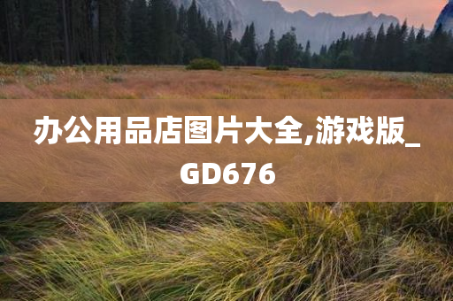 办公用品店图片大全,游戏版_GD676