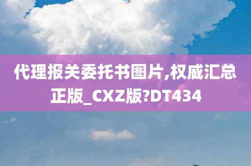 代理报关委托书图片,权威汇总正版_CXZ版?DT434