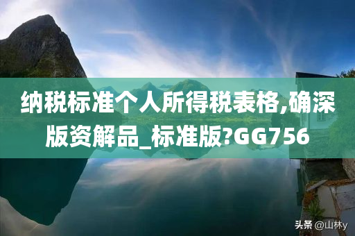 纳税标准个人所得税表格,确深版资解品_标准版?GG756