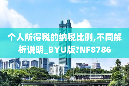 个人所得税的纳税比例,不同解析说明_BYU版?NF8786