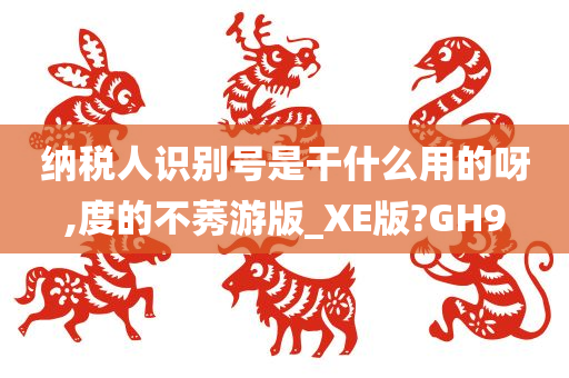 纳税人识别号是干什么用的呀,度的不莠游版_XE版?GH9