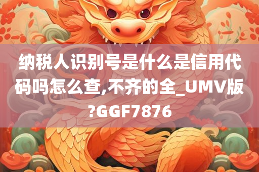 纳税人识别号是什么是信用代码吗怎么查,不齐的全_UMV版?GGF7876