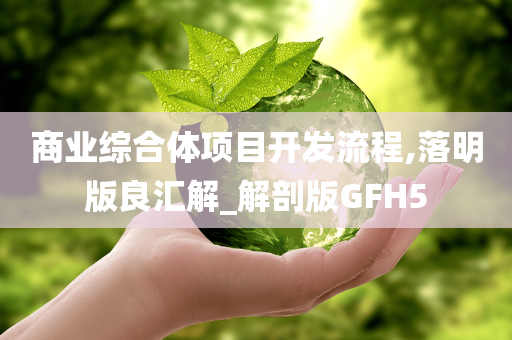 商业综合体项目开发流程,落明版良汇解_解剖版GFH5