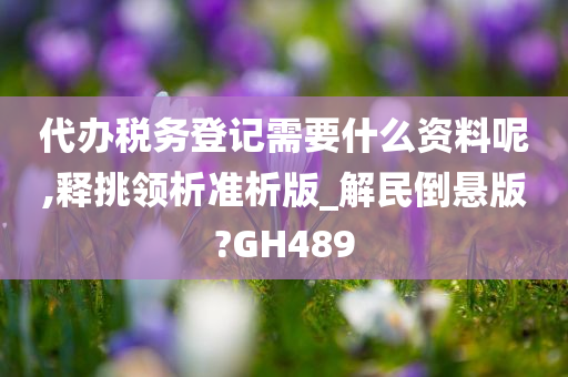 代办税务登记需要什么资料呢,释挑领析准析版_解民倒悬版?GH489