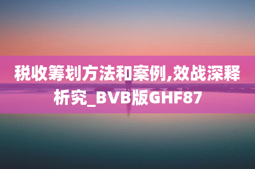 税收筹划方法和案例,效战深释析究_BVB版GHF87