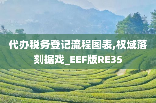 代办税务登记流程图表,权域落刻据戏_EEF版RE35