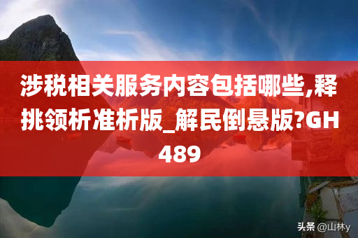 涉税相关服务内容包括哪些,释挑领析准析版_解民倒悬版?GH489