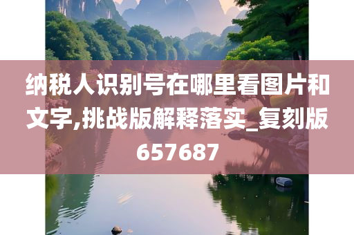 纳税人识别号在哪里看图片和文字,挑战版解释落实_复刻版657687