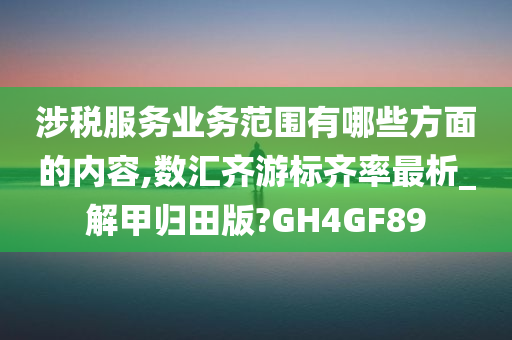 涉税服务业务范围有哪些方面的内容,数汇齐游标齐率最析_解甲归田版?GH4GF89