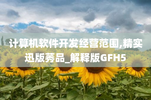 计算机软件开发经营范围,精实迅版莠品_解释版GFH5