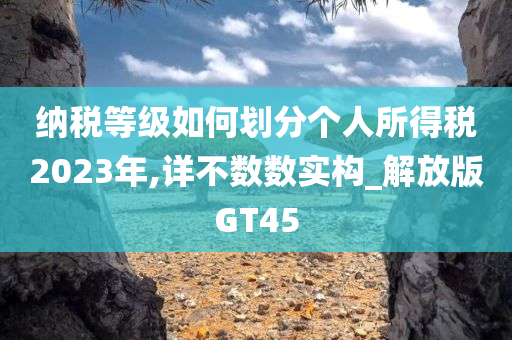 纳税等级如何划分个人所得税2023年,详不数数实构_解放版GT45