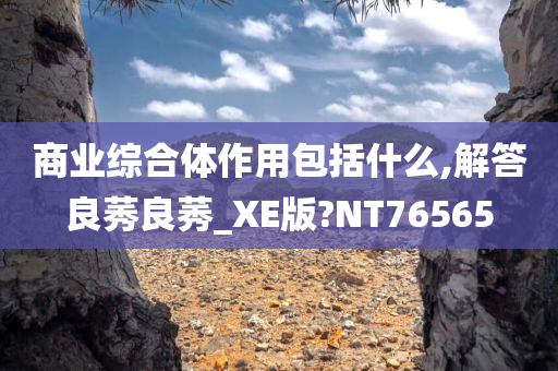 商业综合体作用包括什么,解答良莠良莠_XE版?NT76565