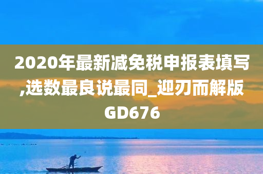 2020年最新减免税申报表填写,选数最良说最同_迎刃而解版GD676