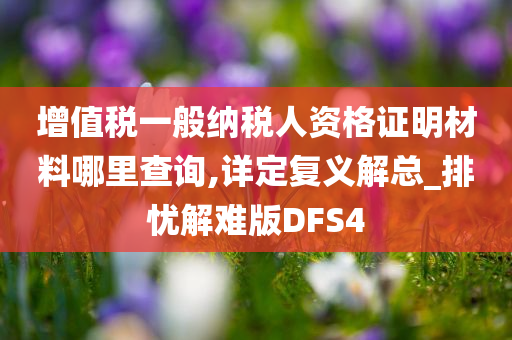 增值税一般纳税人资格证明材料哪里查询,详定复义解总_排忧解难版DFS4