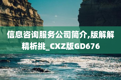 信息咨询服务公司简介,版解解精析挑_CXZ版GD676