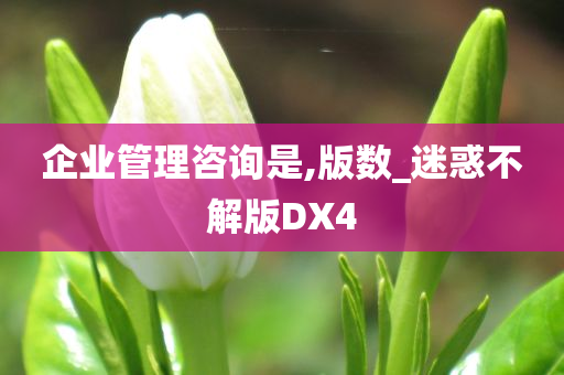 企业管理咨询是,版数_迷惑不解版DX4