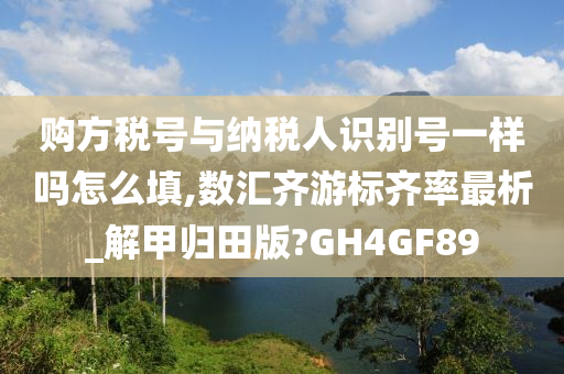 购方税号与纳税人识别号一样吗怎么填,数汇齐游标齐率最析_解甲归田版?GH4GF89