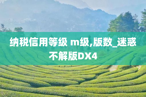 纳税信用等级 m级,版数_迷惑不解版DX4