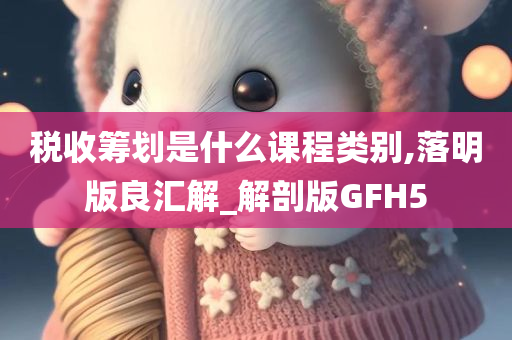 税收筹划是什么课程类别,落明版良汇解_解剖版GFH5