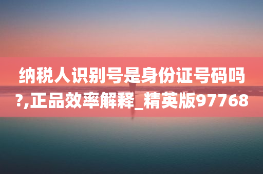 纳税人识别号是身份证号码吗?,正品效率解释_精英版97768