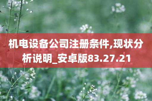 机电设备公司注册条件,现状分析说明_安卓版83.27.21