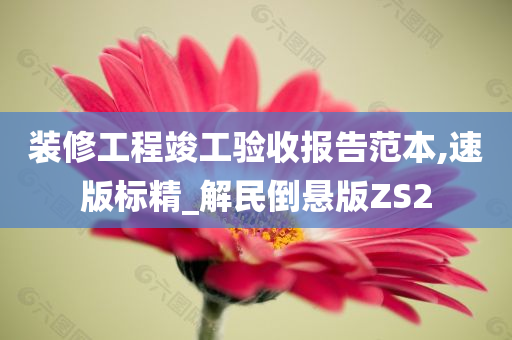 装修工程竣工验收报告范本,速版标精_解民倒悬版ZS2