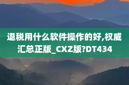 退税用什么软件操作的好,权威汇总正版_CXZ版?DT434