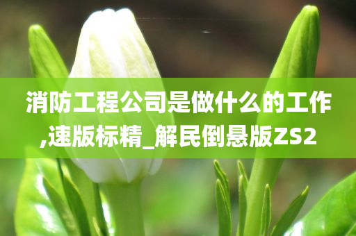 消防工程公司是做什么的工作,速版标精_解民倒悬版ZS2