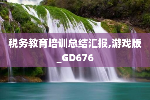 税务教育培训总结汇报,游戏版_GD676