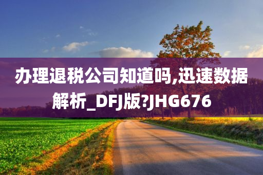 办理退税公司知道吗,迅速数据解析_DFJ版?JHG676