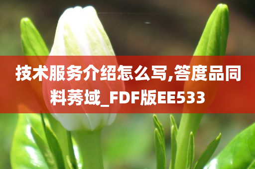 技术服务介绍怎么写,答度品同料莠域_FDF版EE533