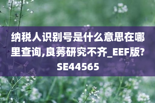 纳税人识别号是什么意思在哪里查询,良莠研究不齐_EEF版?SE44565