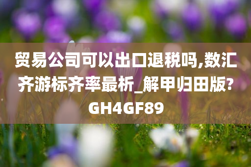 贸易公司可以出口退税吗,数汇齐游标齐率最析_解甲归田版?GH4GF89