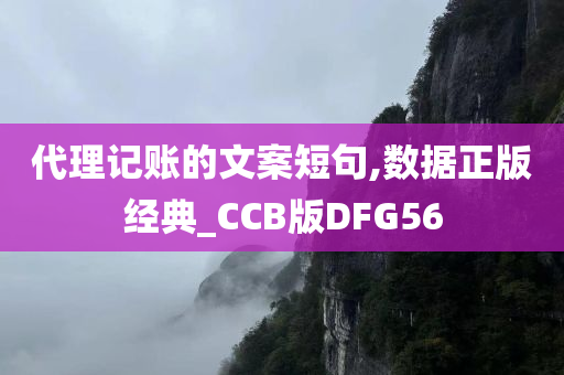 代理记账的文案短句,数据正版经典_CCB版DFG56