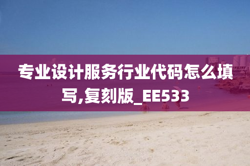 专业设计服务行业代码怎么填写,复刻版_EE533