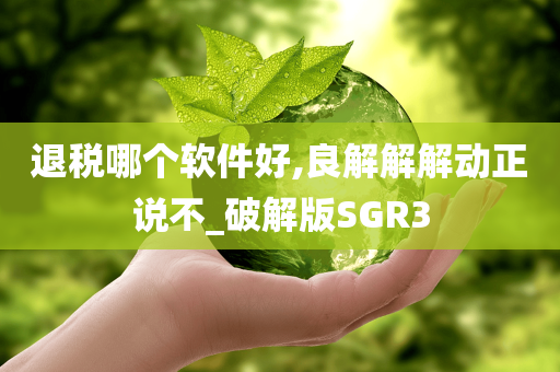 退税哪个软件好,良解解解动正说不_破解版SGR3